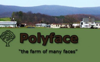 More than a farm tour
