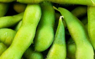 15 Ways to Enjoy Edamame