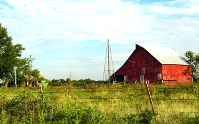 My time on the farm
