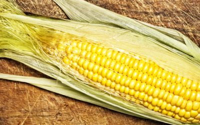 Corn, it’s Whats For Dinner (Even if You Don’t Recognize it)