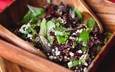 Dried Cranberry Salad