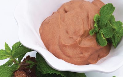 Belgian Chocolate Greek Yogurt
