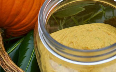 Pumpkin Hummus