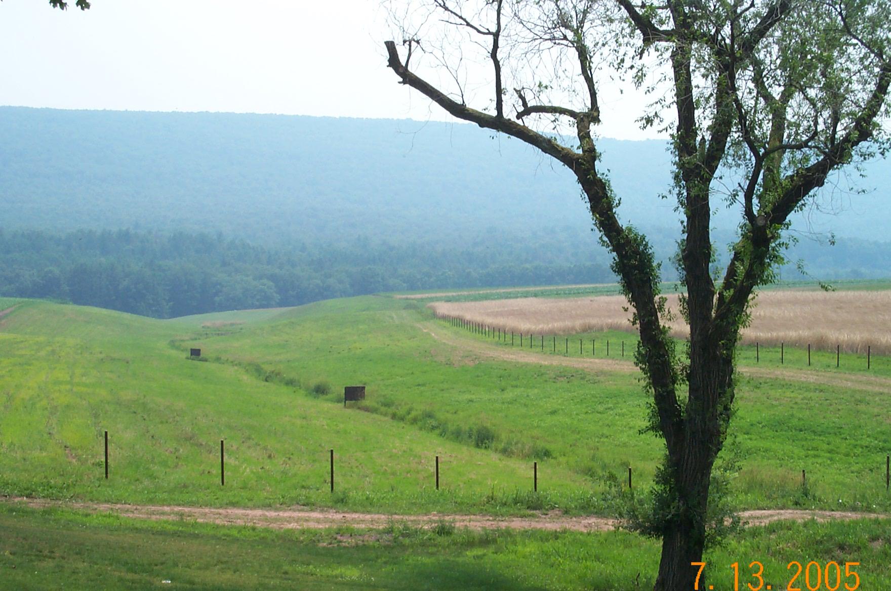 Tallman Family Farms